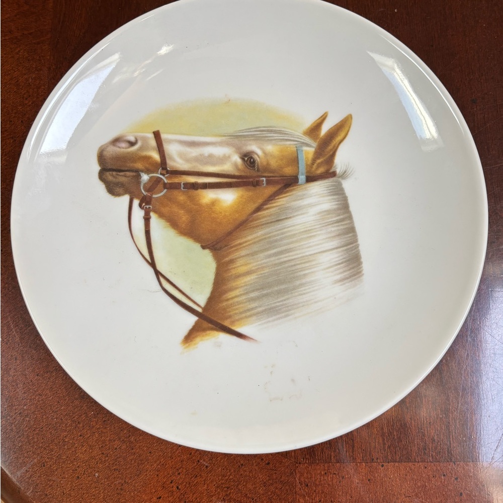 Horse Portrait Porcelain plate, Collectible,Vintage, by Kahla, made in Germany
